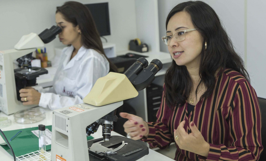 Pesquisadores da UEM desenvolvem teste rápido e seguro contra a dengue. Foto: UEM