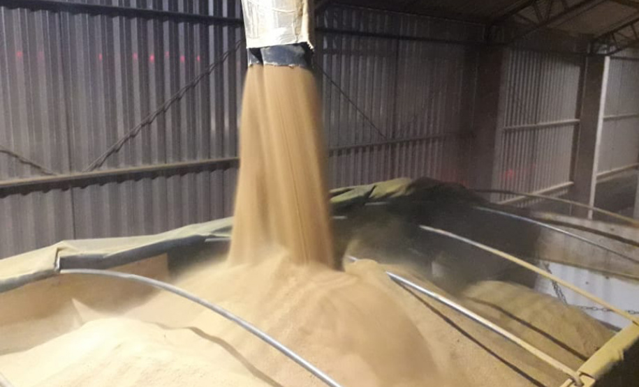 O Porto de Paranaguá embarca nesta semana a primeira carga de DDGS, um coproduto do processamento do milho para a fabricação de etanol – o que sobra do grão. A operação será um teste para que o produto passe a entrar na rotina das exportações paranaenses a granel. Neste primeiro lote, 27,5 mil toneladas serão levadas à Inglaterra pelo navio Interlink Acuity.Foto: Divulgação/INPASA