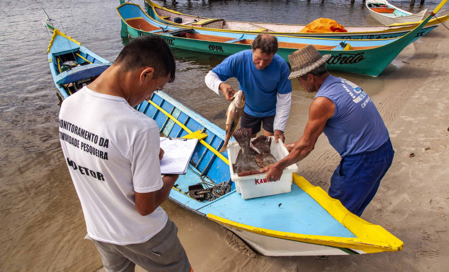 Portos conquistam descentralização e investem em obras e meio ambiente. Foto:Portos do Paraná