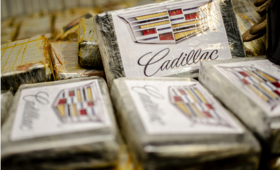 Polícias apreendem 107 toneladas de drogas de janeiro a setembro. Foto:SESP