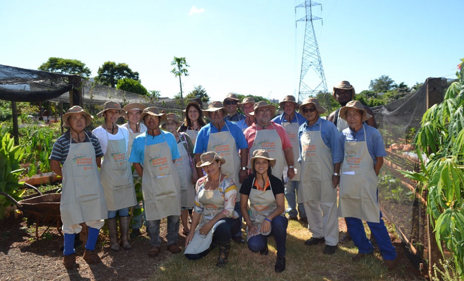 O Cultivar Energia, programa corporativo da Copel que objetiva montar hortas comunitárias em imóveis sob as linhas de transmissão e distribuição, completou seis anos em 2019. Já são 15 mil metros quadrados com nova paisagem e mais de 120 famílias atendidas, em Cascavel, Maringá e Ponta Grossa, podendo atingir 150 com a instalação da horta em Curitiba.Foto: Arquivo/AEN