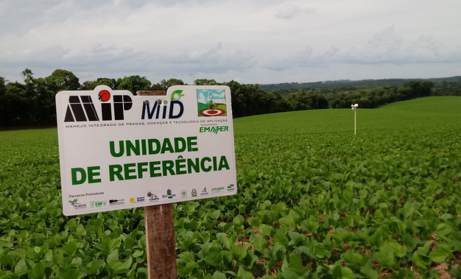 O sistema Alerta Ferrugem, desenvolvido pelo Instituto Paranaense de Assistência Técnica e Extensão Rural (Emater), está entre as melhores ferramentas de monitoramento da ferrugem asiática da soja do mundo. São 248 pontos de coleta de esporos em aproximadamente 200 municípios paranaenses, uma rede que desde 2016 tem colaborado para retardar a primeira aplicação de fungicidas, reduzindo seu uso em cerca de 35%. Foto:SEAB