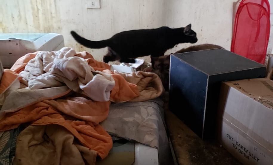 A Polícia Civil do Paraná (PCPR) fez nesta quarta-feira (08), em Guaratuba, uma ação de prevenção a maus-tratos a animais. Policiais civis, médicos veterinários e técnicos da vigilância sanitária fiscalizaram duas residências, no bairro Mirim, para verificar a condição de guarda, saúde e higiene dos animais abrigados nos locais. Foto:SESP