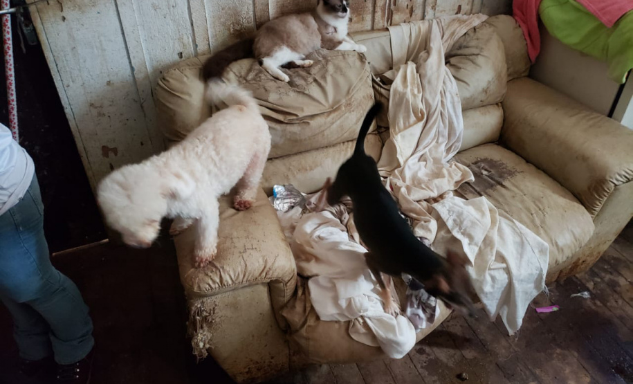 A Polícia Civil do Paraná (PCPR) fez nesta quarta-feira (08), em Guaratuba, uma ação de prevenção a maus-tratos a animais. Policiais civis, médicos veterinários e técnicos da vigilância sanitária fiscalizaram duas residências, no bairro Mirim, para verificar a condição de guarda, saúde e higiene dos animais abrigados nos locais. Foto:SESP