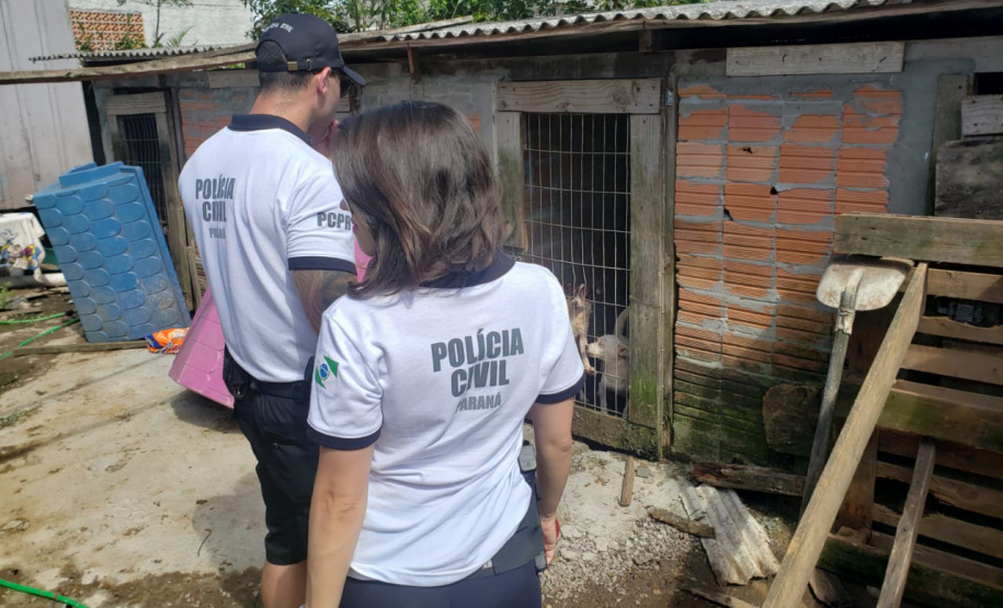 A Polícia Civil do Paraná (PCPR) fez nesta quarta-feira (08), em Guaratuba, uma ação de prevenção a maus-tratos a animais. Policiais civis, médicos veterinários e técnicos da vigilância sanitária fiscalizaram duas residências, no bairro Mirim, para verificar a condição de guarda, saúde e higiene dos animais abrigados nos locais. Foto:SESP