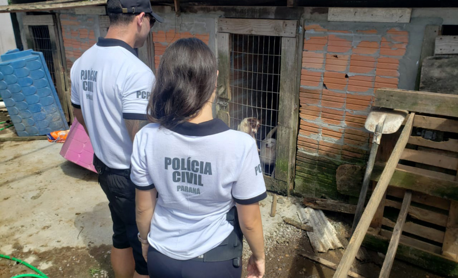 A Polícia Civil do Paraná (PCPR) fez nesta quarta-feira (08), em Guaratuba, uma ação de prevenção a maus-tratos a animais. Policiais civis, médicos veterinários e técnicos da vigilância sanitária fiscalizaram duas residências, no bairro Mirim, para verificar a condição de guarda, saúde e higiene dos animais abrigados nos locais. Foto:SESP