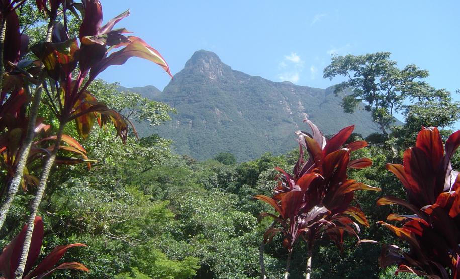 Os órgãos ambientais do Estado estão agora reunidos em um único instituto, vinculado à Secretaria do Desenvolvimento Sustentável e do Turismo. O governador Carlos Massa Ratinho Junior sancionou a Lei número 20.070/19, que autoriza a incorporação do ITCG (Instituto de Terras, Cartografia e Geologia) e do Instituto das Águas do Paraná pelo Instituto Ambiental do Paraná - agora denominado Instituto Água e Terra.Foto:Denis Ferreira Netto/SEDEST