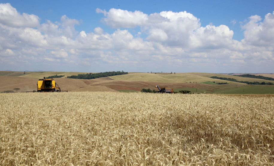 Novo instituto fortalece sistema estadual de agricultura. Foto: Jaelson Lucas/AEN