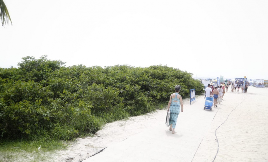 O manejo da restinga no Litoral do Paraná, iniciado nesta última semana, atende uma demanda da população e das prefeituras, e permite maior controle sanitário e de segurança nas cidades que recebem mais turistas durante o verão