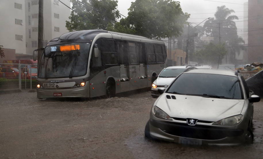 Risco de leptospirose cresce nos períodos de chuvas itensas. Foto: Gilson Abreu/AEN
