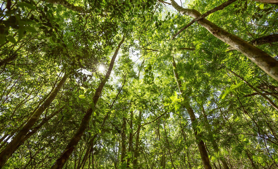 Empresas que buscam identificar e minimizar os impactos de suas atividades sobre o meio ambiente contam com o apoio do Instituto de Tecnologia do Paraná (Tecpar) para desenvolver ações sustentáveis. A divisão Tecpar Certificação é a única organização do país credenciada para oferecer a Certificação Life.