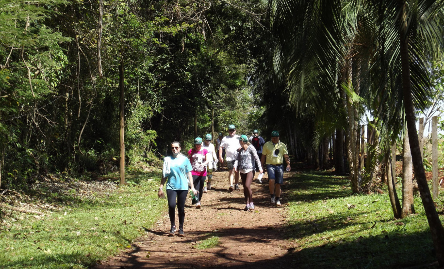 Trajetos em meio à natureza, passando por propriedades rurais e destinos que muitas vezes fogem do radar dos turistas dão o tom das Caminhadas Internacionais na Natureza, que já têm 160 circuitos confirmados neste ano no Paraná.  Foto: Emater/Campo Mourão