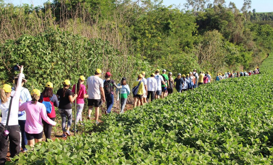 Trajetos em meio à natureza, passando por propriedades rurais e destinos que muitas vezes fogem do radar dos turistas dão o tom das Caminhadas Internacionais na Natureza, que já têm 160 circuitos confirmados neste ano no Paraná.  Foto: Emater/Campo Mourão