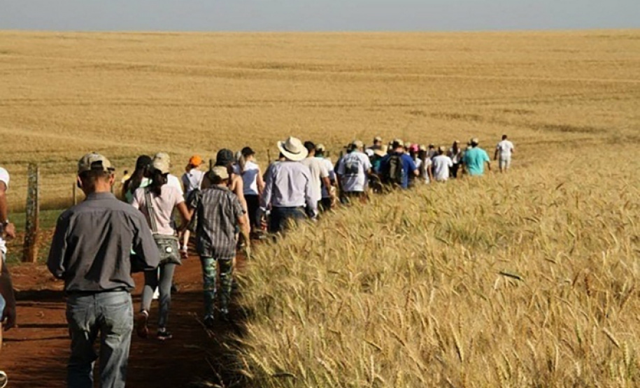 Trajetos em meio à natureza, passando por propriedades rurais e destinos que muitas vezes fogem do radar dos turistas dão o tom das Caminhadas Internacionais na Natureza, que já têm 160 circuitos confirmados neste ano no Paraná.  Foto: Emater/Campo Mourão