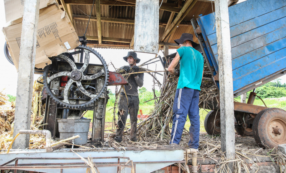 Produção de açucar mascavo e de melado de açúcar mascavo de cana-de-açúcar produzido pela familia do produtor Gilberto Hass  em Capanema, no sudoeste do Paraná.  Capanema - 16/01/2020 - Foto: Geraldo Bubniak/AEN