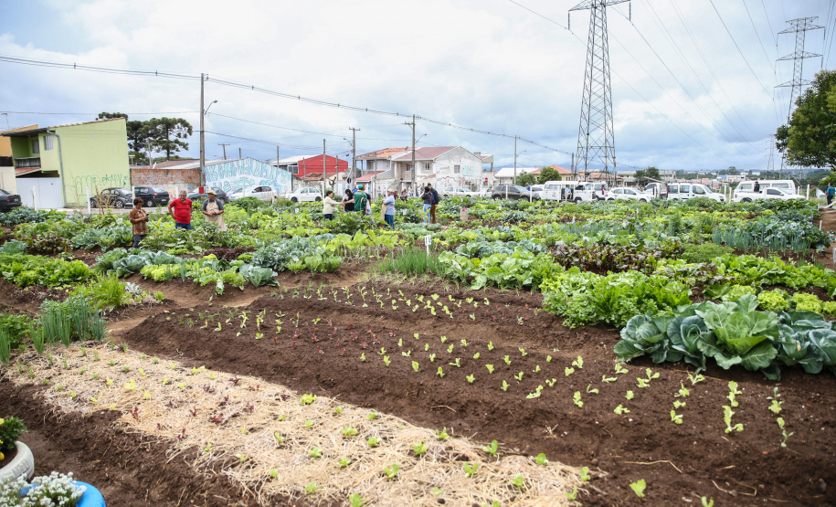 Inauguração da Horta Comunitária Moradias Marumbi do programa da Secretaria de Estado da Agricultura e do Abastecimento,  nesta quinta-feira (16), no bairro Uberaba, em Curitiba
