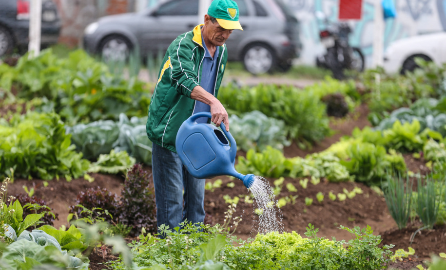 Inauguração da Horta Comunitária Moradias Marumbi do programa da Secretaria de Estado da Agricultura e do Abastecimento,  nesta quinta-feira (16), no bairro Uberaba, em Curitiba