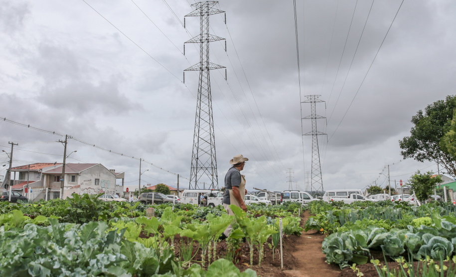 Inauguração da Horta Comunitária Moradias Marumbi do programa da Secretaria de Estado da Agricultura e do Abastecimento,  nesta quinta-feira (16), no bairro Uberaba, em Curitiba