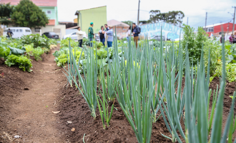 Inauguração da Horta Comunitária Moradias Marumbi do programa da Secretaria de Estado da Agricultura e do Abastecimento,  nesta quinta-feira (16), no bairro Uberaba, em Curitiba