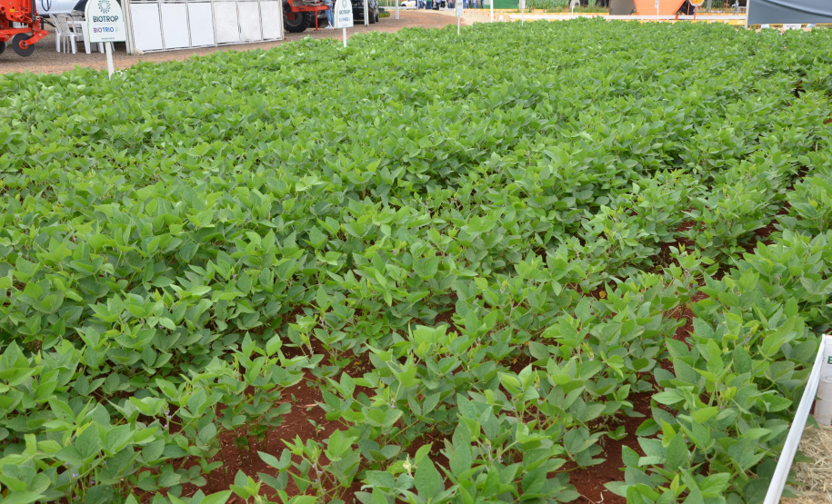 Nesta quarta-feira (22), dois eventos, a Safratec, em Floresta, e o Superagro, em Londrina, foram acompanhados por integrantes do Governo do Estado.
Foto: Emater