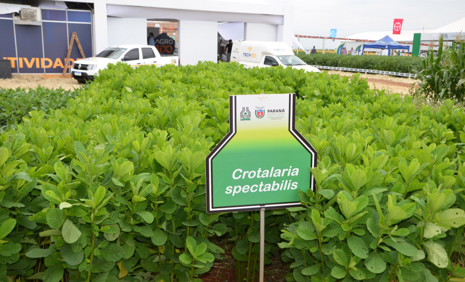 Nesta quarta-feira (22), dois eventos, a Safratec, em Floresta, e o Superagro, em Londrina, foram acompanhados por integrantes do Governo do Estado.
Foto: Emater