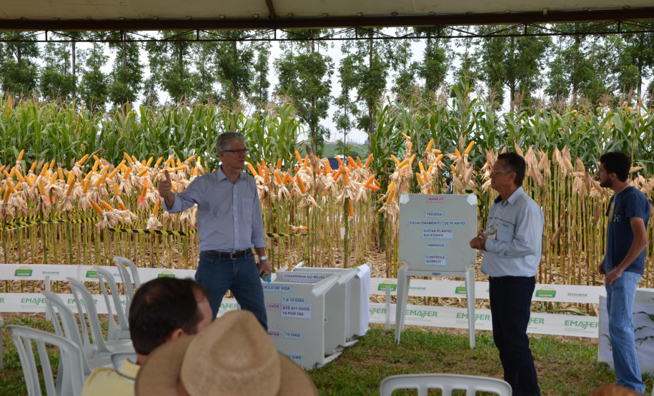 Nesta quarta-feira (22), dois eventos, a Safratec, em Floresta, e o Superagro, em Londrina, foram acompanhados por integrantes do Governo do Estado.
Foto: Emater