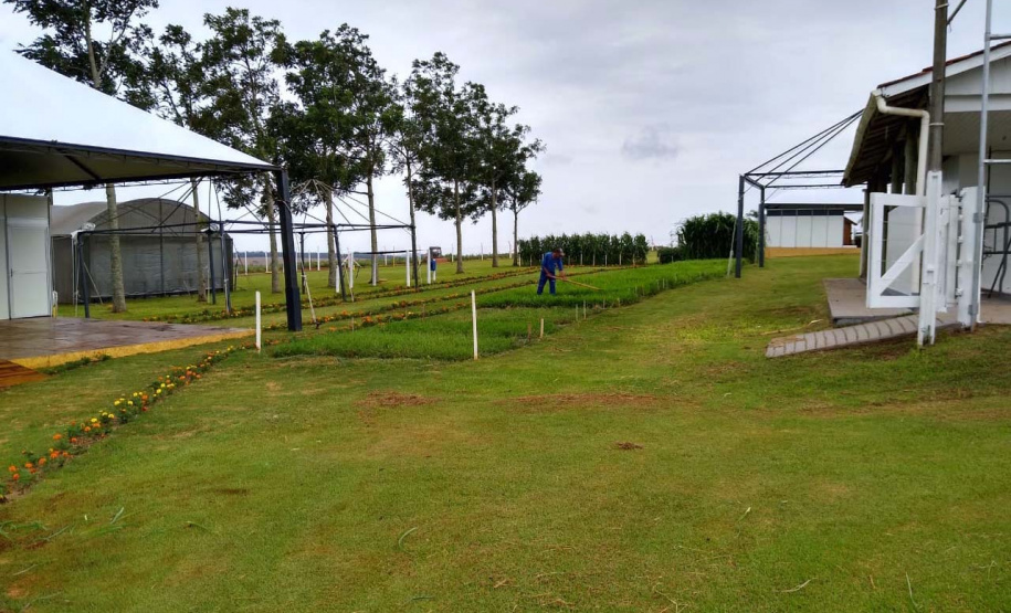 Uma das áreas destinadas ao Instituto de Desenvolvimento Rural do Paraná – Iapar-Emater reúne diferentes culturas e práticas agropecuárias. O evento, um dos principais do setor no País, deve receber cerca de 100 mil pessoas durante os cinco dias. Foto: Emater