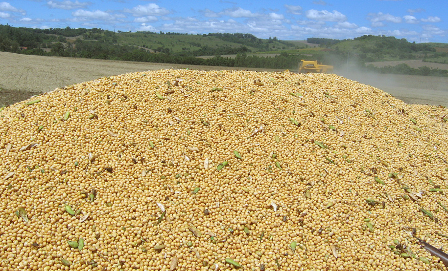 Foto: Jonas Oliveira/Arquivo 
AEN