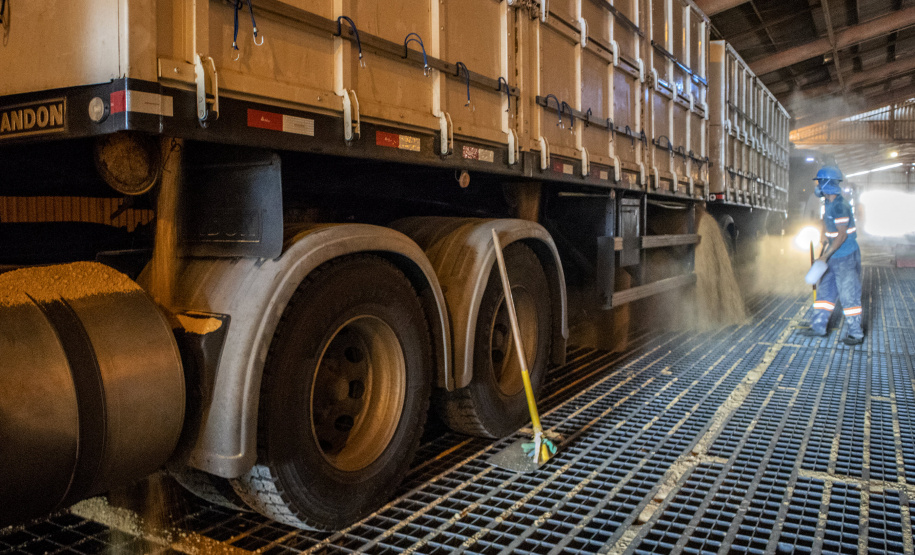 Foram feitas reformas e controle de pragas. Expectativa dos operadores é movimentar 120 mil toneladas do produto pela estrutura pública, nestes três primeiros meses do ano.
Foto: Claudio Neves