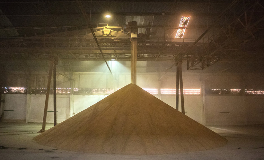 Foram feitas reformas e controle de pragas. Expectativa dos operadores é movimentar 120 mil toneladas do produto pela estrutura pública, nestes três primeiros meses do ano.
Foto: Claudio Neves