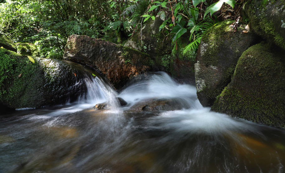 A cidade de Piraquara guarda uma riqueza incalculável para boa parte da população da Região Metropolitana de Curitiba: a sua principal fonte de água ou os chamados Mananciais da Serra. Eles são parte de uma Área de Preservação Ambiental (APA) e compõem o Parque Estadual Pico do Marumbi e o Roteiro Caminho Trentino de Piraquara, que são atrações especiais e pouco conhecidas do verão paranaense. Foto: José Fernando Ogura/AEN