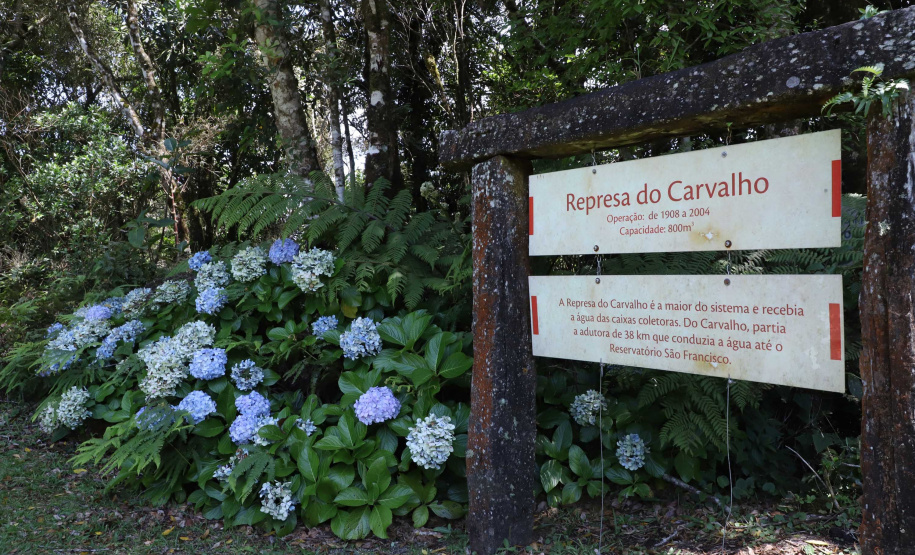 A cidade de Piraquara guarda uma riqueza incalculável para boa parte da população da Região Metropolitana de Curitiba: a sua principal fonte de água ou os chamados Mananciais da Serra. Eles são parte de uma Área de Preservação Ambiental (APA) e compõem o Parque Estadual Pico do Marumbi e o Roteiro Caminho Trentino de Piraquara, que são atrações especiais e pouco conhecidas do verão paranaense. Foto: José Fernando Ogura/AEN