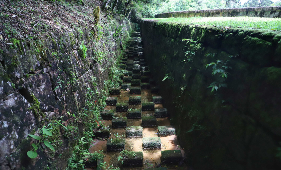 A cidade de Piraquara guarda uma riqueza incalculável para boa parte da população da Região Metropolitana de Curitiba: a sua principal fonte de água ou os chamados Mananciais da Serra. Eles são parte de uma Área de Preservação Ambiental (APA) e compõem o Parque Estadual Pico do Marumbi e o Roteiro Caminho Trentino de Piraquara, que são atrações especiais e pouco conhecidas do verão paranaense. Foto: José Fernando Ogura/AEN