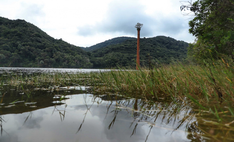 A cidade de Piraquara guarda uma riqueza incalculável para boa parte da população da Região Metropolitana de Curitiba: a sua principal fonte de água ou os chamados Mananciais da Serra. Eles são parte de uma Área de Preservação Ambiental (APA) e compõem o Parque Estadual Pico do Marumbi e o Roteiro Caminho Trentino de Piraquara, que são atrações especiais e pouco conhecidas do verão paranaense. Foto: José Fernando Ogura/AEN