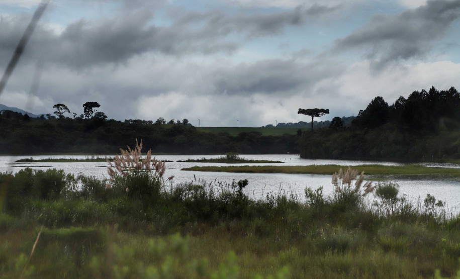 A cidade de Piraquara guarda uma riqueza incalculável para boa parte da população da Região Metropolitana de Curitiba: a sua principal fonte de água ou os chamados Mananciais da Serra. Eles são parte de uma Área de Preservação Ambiental (APA) e compõem o Parque Estadual Pico do Marumbi e o Roteiro Caminho Trentino de Piraquara, que são atrações especiais e pouco conhecidas do verão paranaense. Foto: José Fernando Ogura/AEN