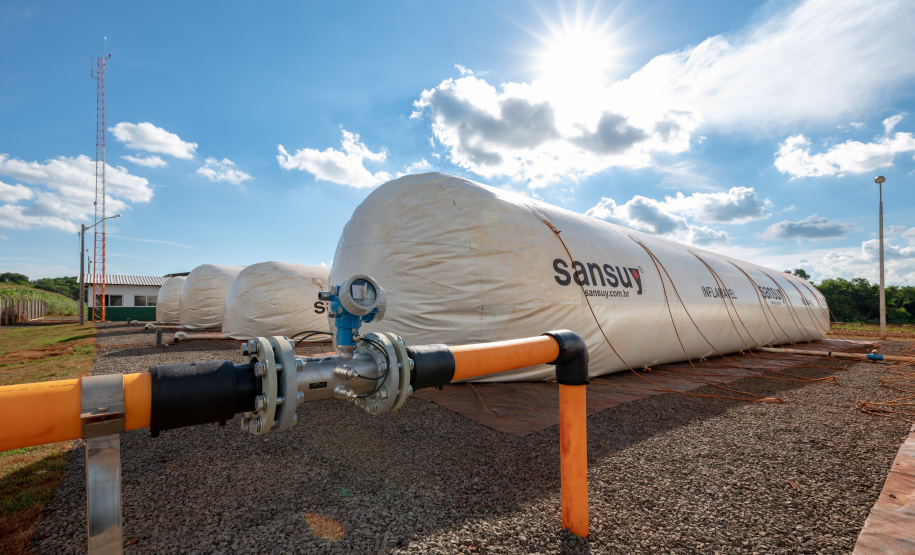Foto: Kiko Sierich/Fundação Parque Tecnológico de Itaipu