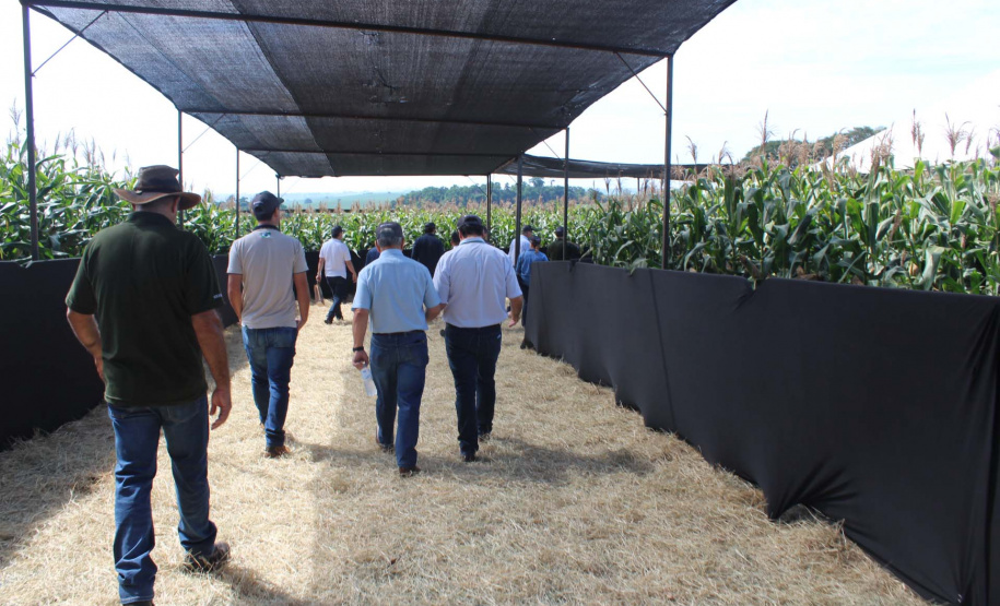 O secretário estadual da Agricultura e do Abastecimento, Norberto Ortigara, participou nesta quarta-feira (29), em Cambé, do 19º BelaSafra 2020, evento da Belagrícola que está apresentando as últimas tecnologias para maximizar a produtividade no campo. O diretor-presidente da Agência de Defesa Agropecuária do Paraná (Adapar), Otamir Cesar Martins, e o deputado estadual Tiago Amaral, também estiveram no evento. Foto: SEAB