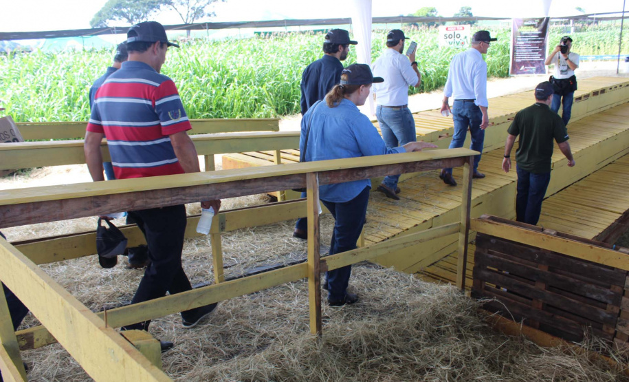 O secretário estadual da Agricultura e do Abastecimento, Norberto Ortigara, participou nesta quarta-feira (29), em Cambé, do 19º BelaSafra 2020, evento da Belagrícola que está apresentando as últimas tecnologias para maximizar a produtividade no campo. O diretor-presidente da Agência de Defesa Agropecuária do Paraná (Adapar), Otamir Cesar Martins, e o deputado estadual Tiago Amaral, também estiveram no evento. Foto: SEAB
