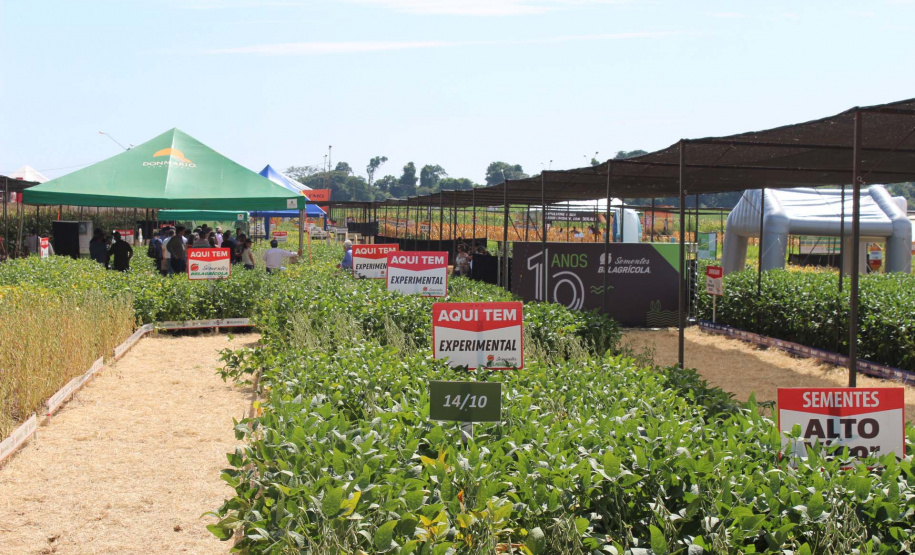 O secretário estadual da Agricultura e do Abastecimento, Norberto Ortigara, participou nesta quarta-feira (29), em Cambé, do 19º BelaSafra 2020, evento da Belagrícola que está apresentando as últimas tecnologias para maximizar a produtividade no campo. O diretor-presidente da Agência de Defesa Agropecuária do Paraná (Adapar), Otamir Cesar Martins, e o deputado estadual Tiago Amaral, também estiveram no evento. Foto: SEAB