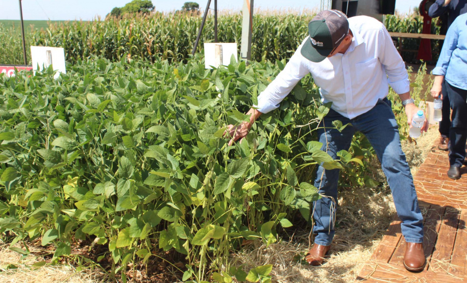 O secretário estadual da Agricultura e do Abastecimento, Norberto Ortigara, participou nesta quarta-feira (29), em Cambé, do 19º BelaSafra 2020, evento da Belagrícola que está apresentando as últimas tecnologias para maximizar a produtividade no campo. O diretor-presidente da Agência de Defesa Agropecuária do Paraná (Adapar), Otamir Cesar Martins, e o deputado estadual Tiago Amaral, também estiveram no evento. Foto: SEAB