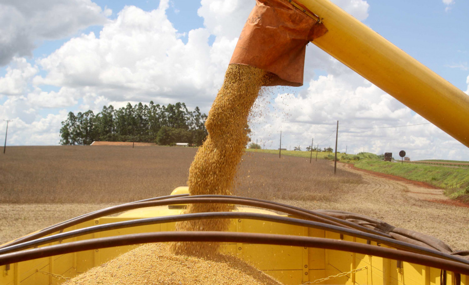 Foto: Jonas Oliveira/Arquivo-AEN