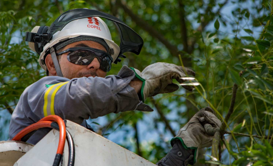 Cerca de 100 profissionais, entre inspetores e técnicos da Copel, farão uma maratona de limpeza na rede de energia na capital paranaense neste sábado (01). O objetivo é promover poda de galhos de árvores que estejam muito próximos aos fios. Foto: Copel