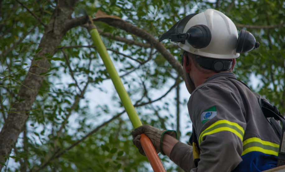 Cerca de 100 profissionais, entre inspetores e técnicos da Copel, farão uma maratona de limpeza na rede de energia na capital paranaense neste sábado (01). O objetivo é promover poda de galhos de árvores que estejam muito próximos aos fios. Foto: Copel