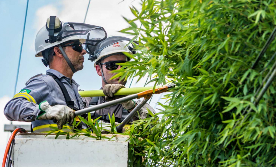 Cerca de 100 profissionais, entre inspetores e técnicos da Copel, farão uma maratona de limpeza na rede de energia na capital paranaense neste sábado (01). O objetivo é promover poda de galhos de árvores que estejam muito próximos aos fios. Foto: Copel