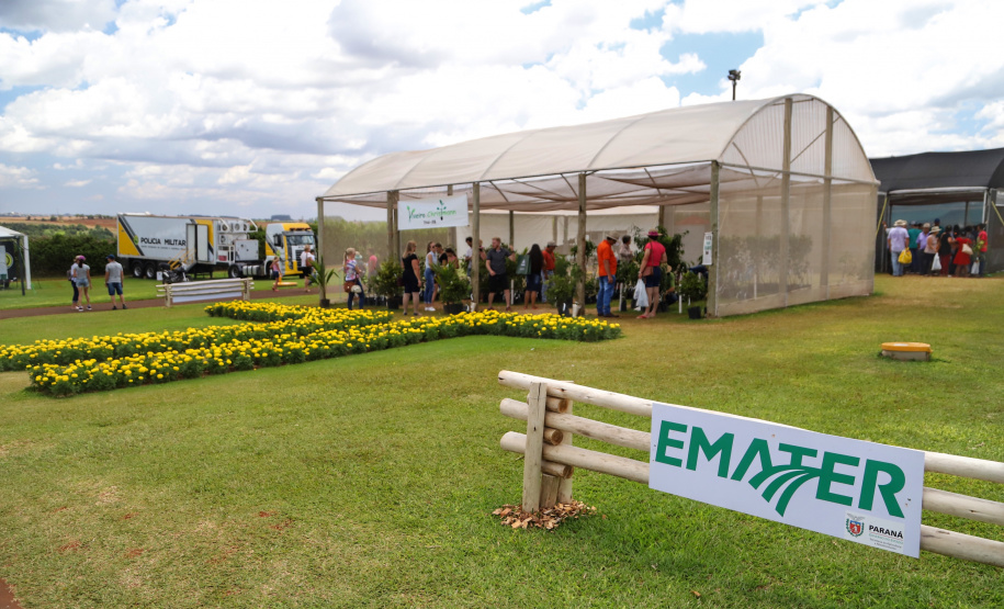 Foto: José Fernando Ogura/AEN