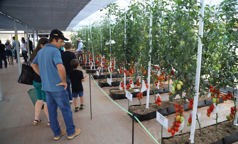 Foto: José Fernando Ogura/AEN