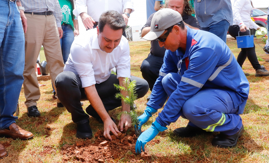 O governador Carlos Massa Ratinho Junior inaugurou nesta sexta-feira (31) a primeira escola técnica de operação florestal do Brasil, em Ortigueira, nos Campos Gerais. O Centro Estadual de Educação Profissional Florestal e Agrícola é fruto de uma parceria entre o Governo do Estado, a Klabin e a prefeitura. O investimento total foi de R$ 35 milhões, sendo R$ 12 milhões repassados pela Secretaria da Educação e do Esporte.