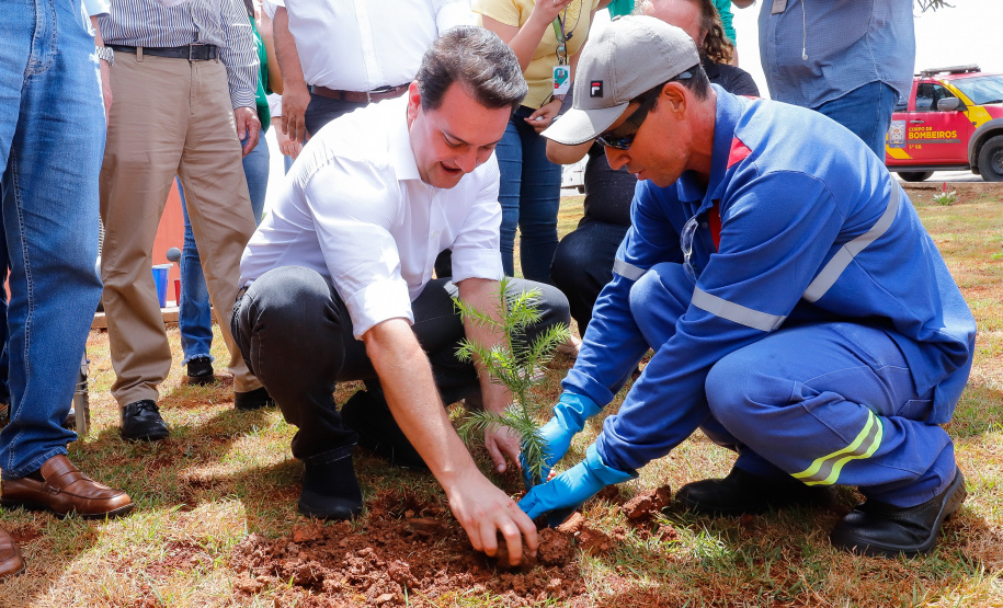 O governador Carlos Massa Ratinho Junior inaugurou nesta sexta-feira (31) a primeira escola técnica de operação florestal do Brasil, em Ortigueira, nos Campos Gerais. O Centro Estadual de Educação Profissional Florestal e Agrícola é fruto de uma parceria entre o Governo do Estado, a Klabin e a prefeitura. O investimento total foi de R$ 35 milhões, sendo R$ 12 milhões repassados pela Secretaria da Educação e do Esporte.