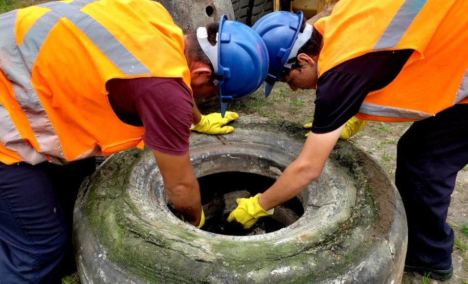 Empresa pública tem agenda de fiscalização e limpeza contra o mosquito Ades Aegypti, transmissor da dengue, zika, chikungunya e febre amarela.
Foto: Pierpaolo Nota/APPA