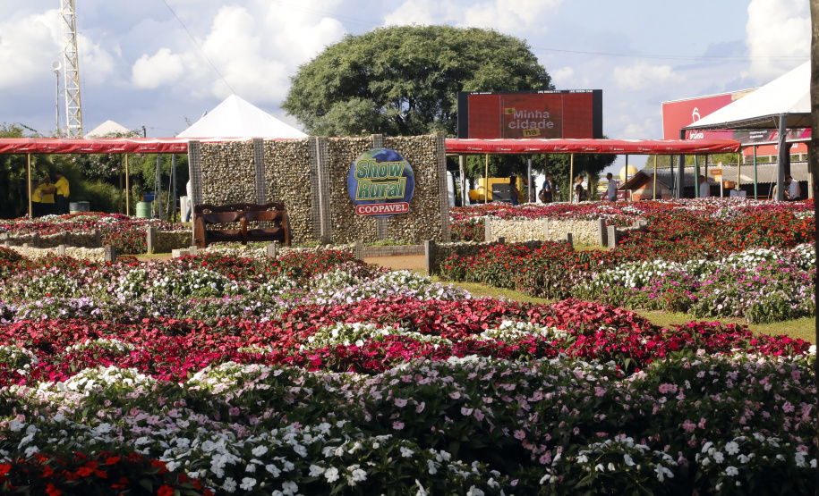 O governador Carlos Massa Ratinho Junior participa nesta quarta-feira (05) do Show Rural Coopavel, em Cascavel, no Oeste do Paraná. Às 15 horas, Ratinho Junior recebeu a imprensa para entrevista coletiva. O encontro será na estruturação de administração do evento. Em seguida, o governador visitará os estandes da feira.
Foto Gilson Abreu/Aen
